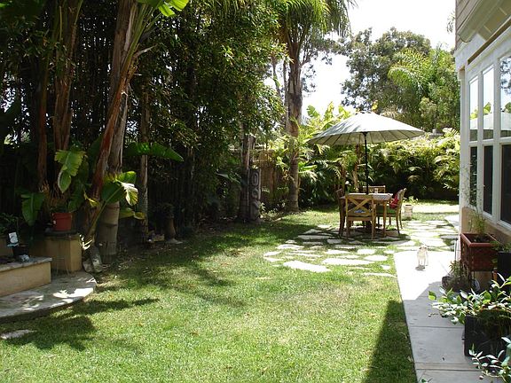 Exotic tropical plants and trees
