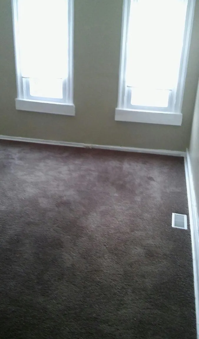 1 bed, 800 sqft, $870 — Photo 2