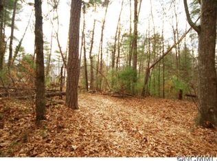 3 Nanas Branch Rd, Asheville, NC 28806