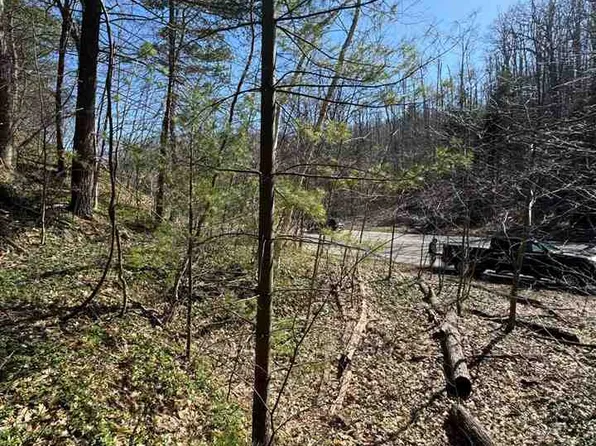 Us Highway 131 S, Boyne Falls, MI 49713
