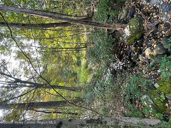 3rd image of 24 Beck Road