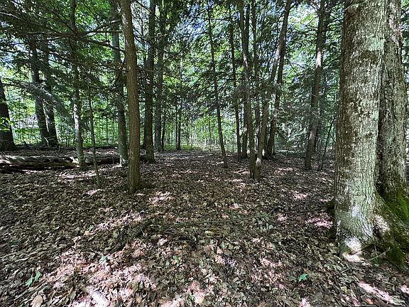 4th image of W Dixon Lake Rd