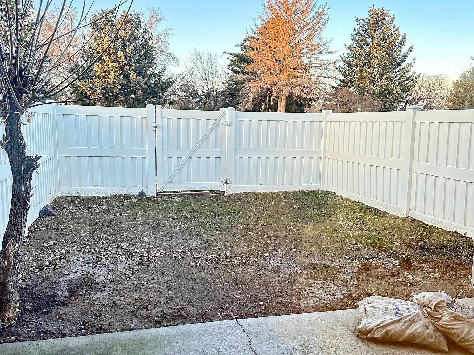 2 bed, 1133 sqft, $1,550 — Photo 2
