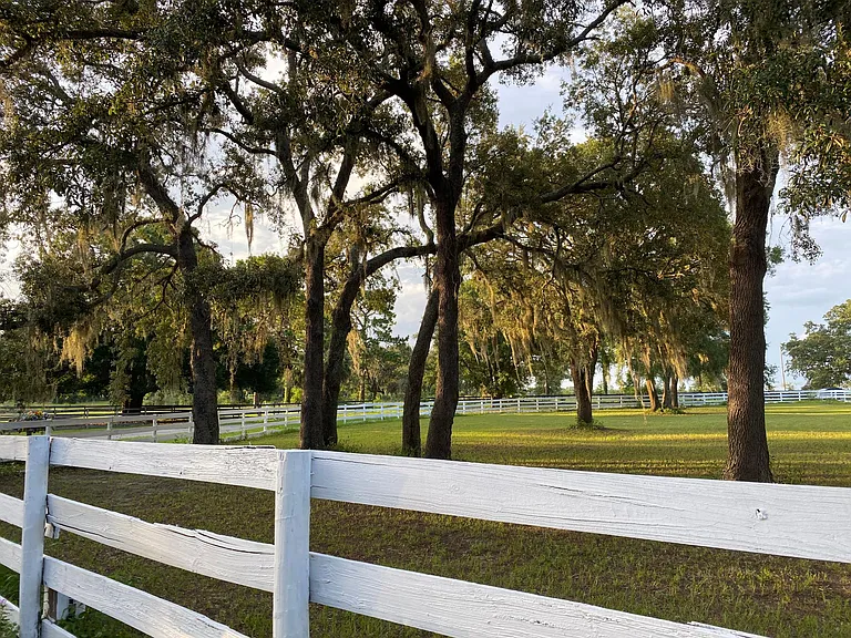 Paddock at the entrance of property. This is one of eight, plus a round pen.
