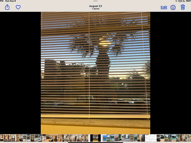 701 S Madison Ave #213 — Photo 54