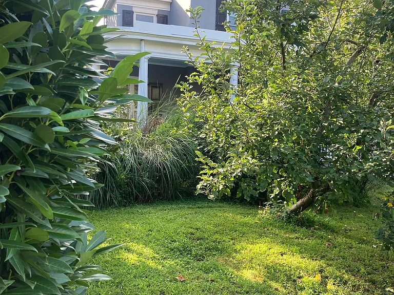 146 W Walnut Ln #3 — Photo 1