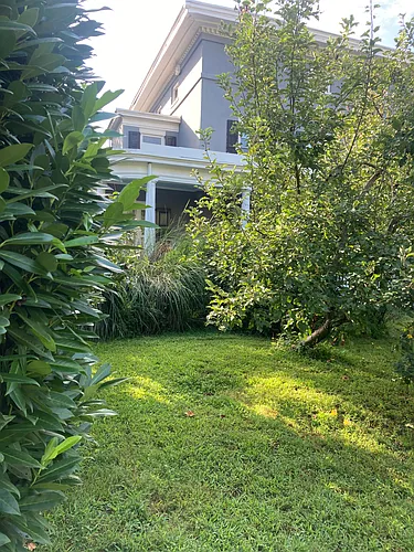 146 W Walnut Ln #3 Photo 1