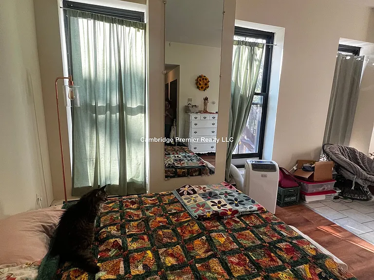 247 Pearl St #201 — Photo 3
