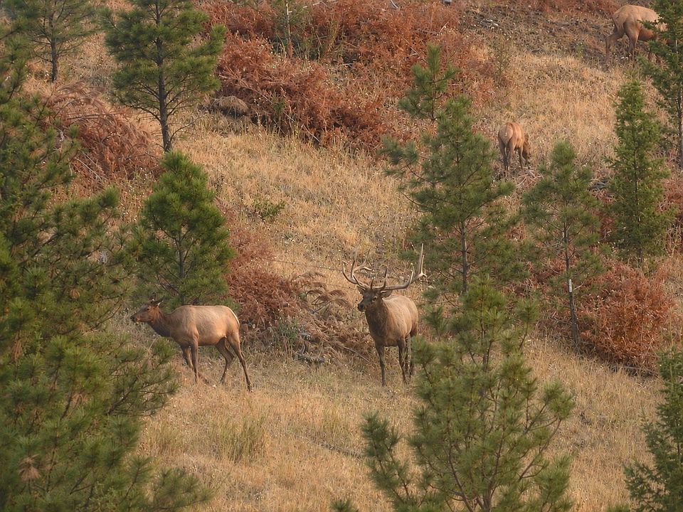 1st image of 4915 W Us Highway 12