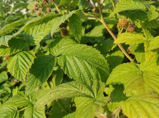 3409 Cope St APT 1, Anchorage, AK 99503