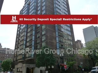 21 W Goethe St APT 4E, Chicago, IL 60610