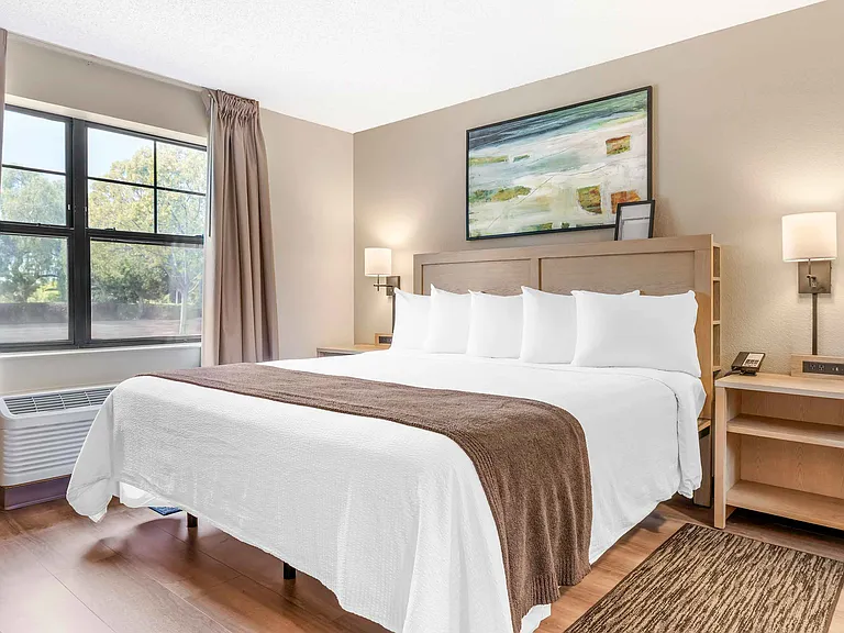 1 Bedroom Suite - 1 King Bed