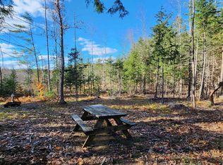 33 & 41 Us Route 4, Danbury, NH 03230