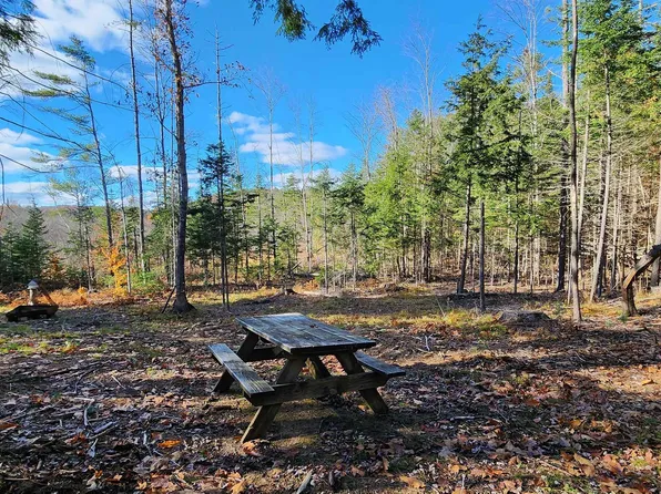 Lot 33 & 41 US Route 4, Danbury, NH 03230