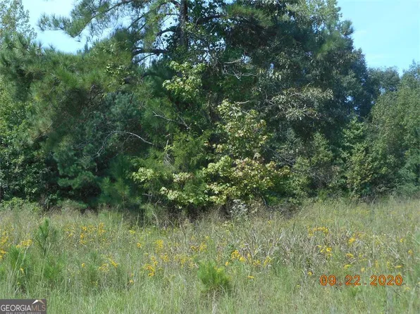 0 Cunningham Rd, Greensboro, GA 30642