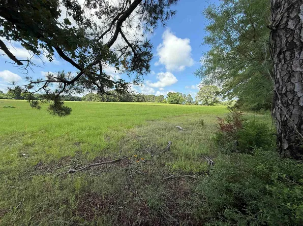 County Road 4194 Trl #7, Henderson, TX 75654