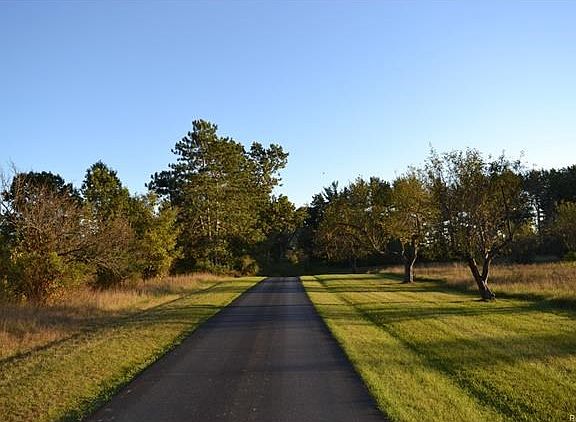 04 -Wooded Property.JPG