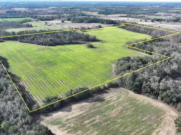 Mimosa Ln, Cottondale, FL 32431