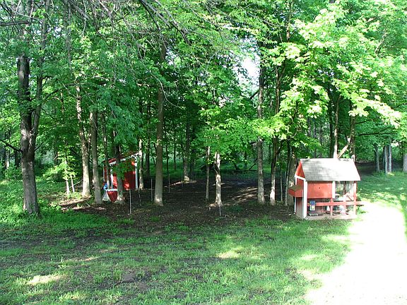 back yard left