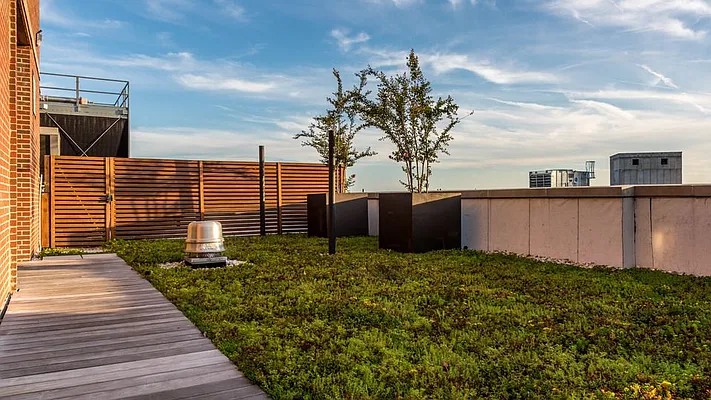 Rented by Nooklyn NYC LLC | media 83