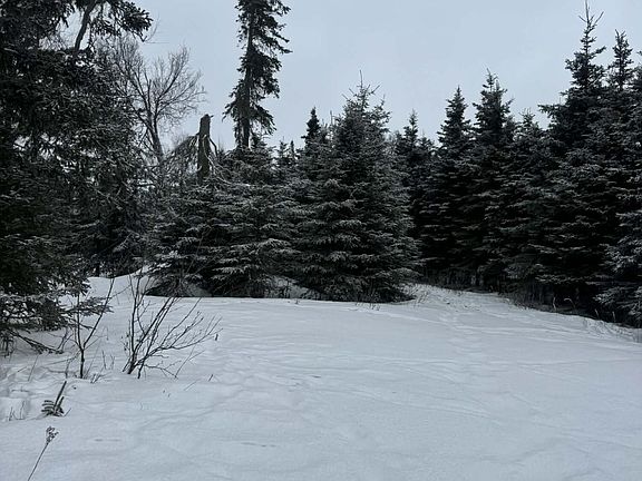 4th image of 2815 Iliamna Rd