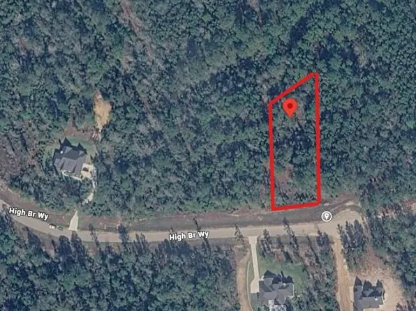 12087 High Branch Way, Willis, TX 77378
