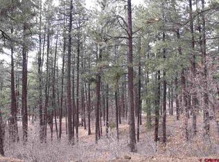 17 Pine Top Dr, Bayfield, CO 81122