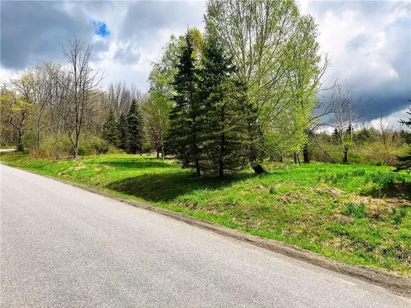 Sisson Hill Rd, Unadilla, NY 13849