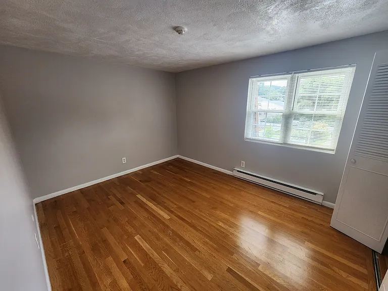 50 Elmwood Park #2 — Photo 5