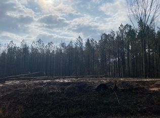 140 Apostolic Rd, Sumrall, MS 39482