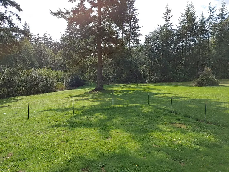 925 Classic Rd — Photo 32