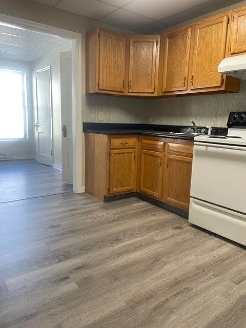 1 bed, $565 — Photo 3
