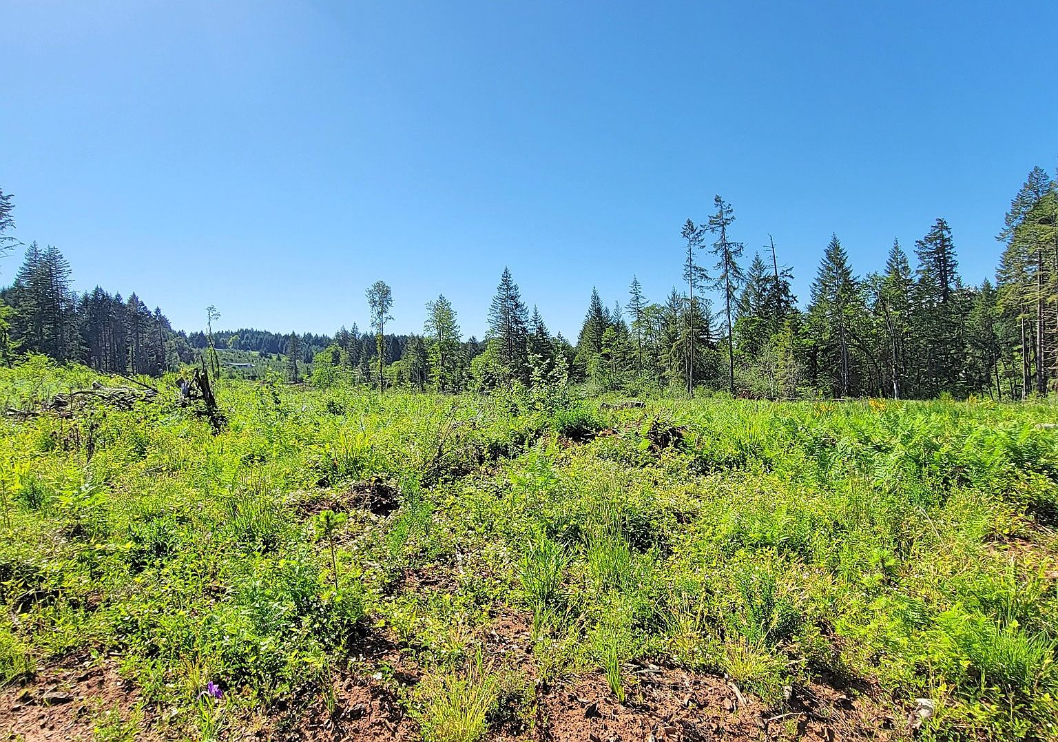 Territorial Hwy 109, OR 97487 MLS 23522448 Zillow