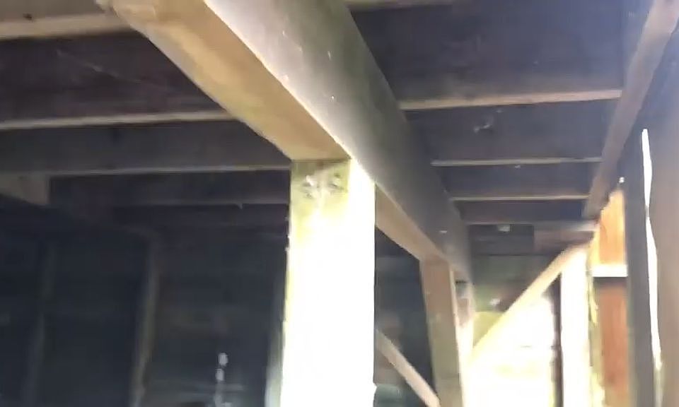 124293 Iolani St, Pahoa, HI 96778 Zillow