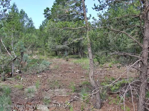 131 Sierra Vista Dr, Alto, NM 88312