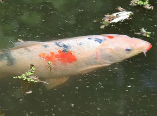 155 Hill Hollow Rd, Watchung, NJ 07069