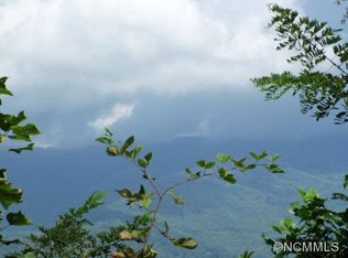 318 Shealea Ln, Sylva, NC 28779