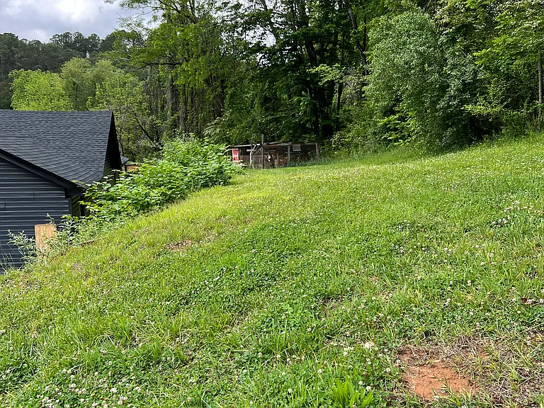 1241 Mineral Bluff Hwy — Photo 4