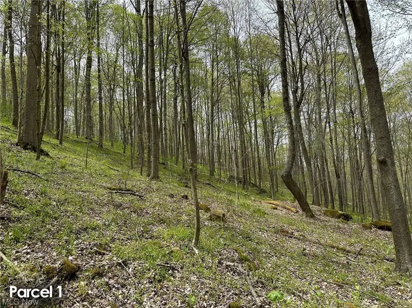 44661 Township Road 314, Warsaw, OH 43844