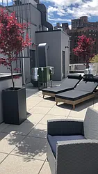 Rented by Peter Ashe