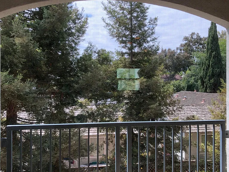 Catalina Luxury Apartments — Photo 21