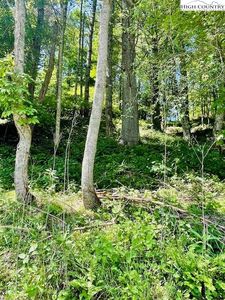 TBD Bent River Drive, Lansing, NC, 28643