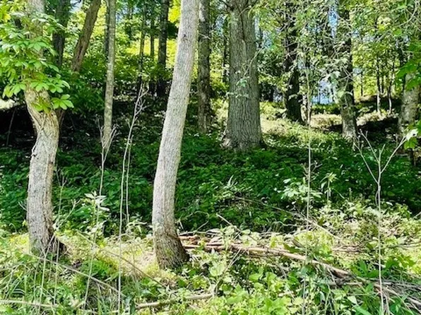 TBD Bent River Drive, Lansing, NC 28643