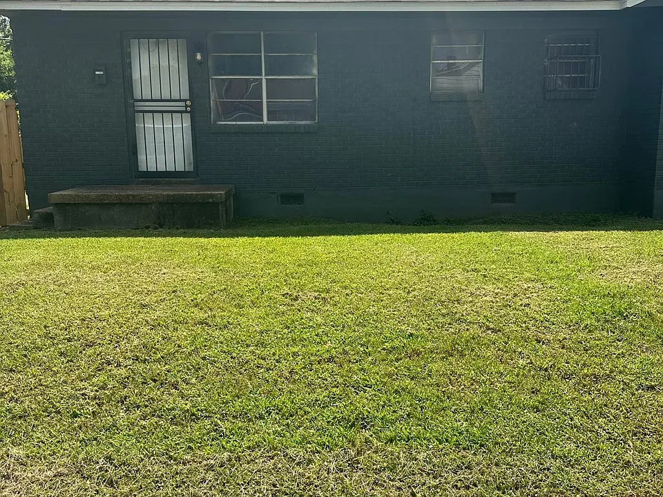 Front yard & front entrance