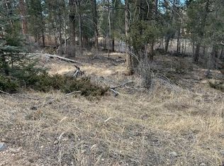 12887 S Cindy Avenue LOT 11, Pine, CO 80470