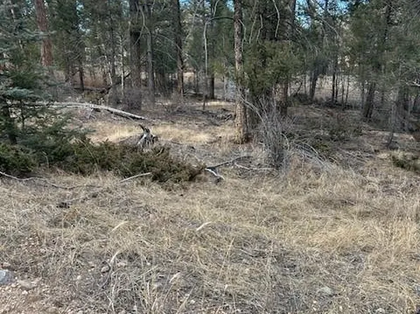 12887 S Cindy Avenue LOT 11, Pine, CO 80470