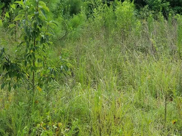 972 County Road 3405, Cleveland, TX 77327