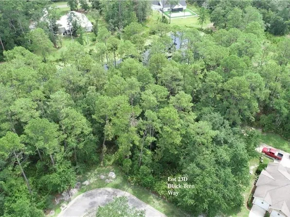 LOT-23D Black Tern Way, Waverly, GA 31565