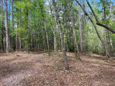 18 Cross Creek Cir, Freeport, FL, 32439
