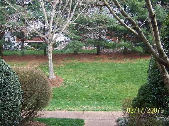 View from the front porch